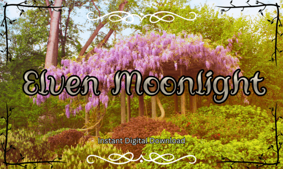 Elven Moonlight: A Whimsical Script Font for Crafters